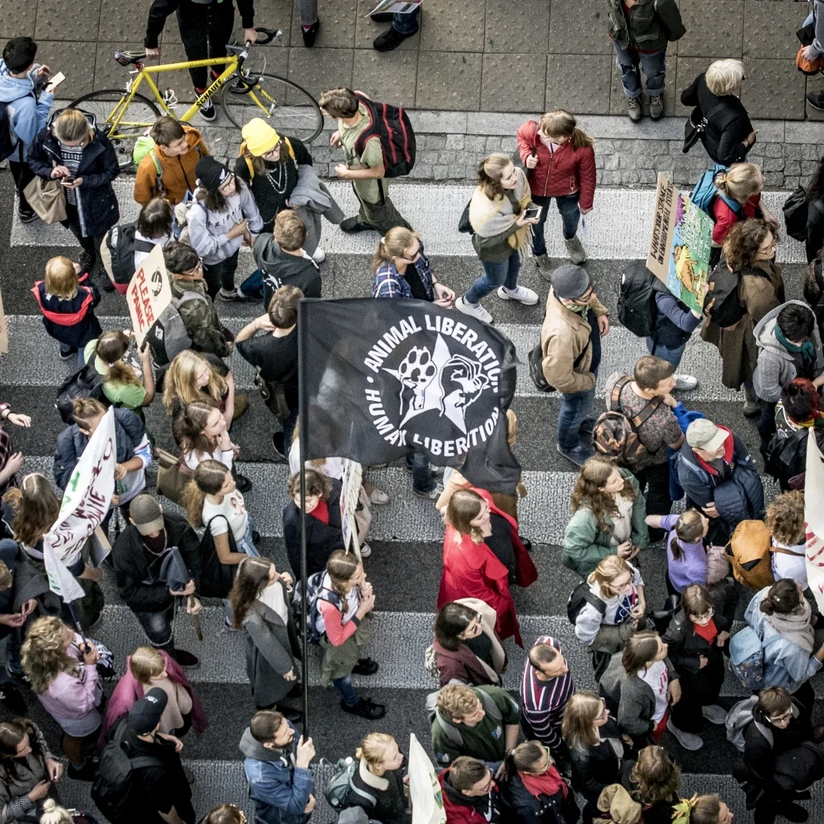 Overhead crowd surrounding a black Animal Liberation Human Liberation flag